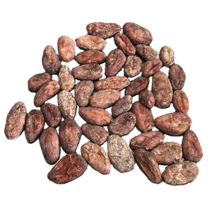 cocoabeans_homepage